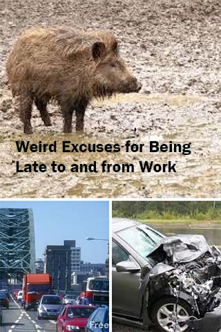 Weird Excuses for B eing Late to and from Work - wild boar, traffic jam, wrecks
