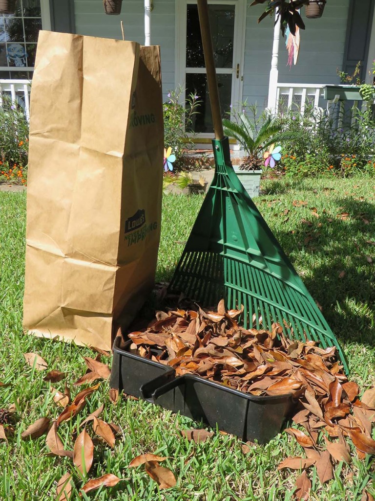 Using a giant dustpan to pick up leaves
