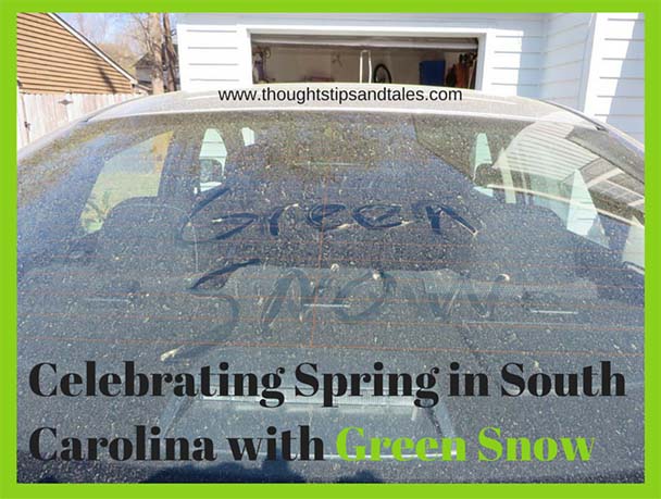 Celebrating Spring in South Carolina with Green Snow