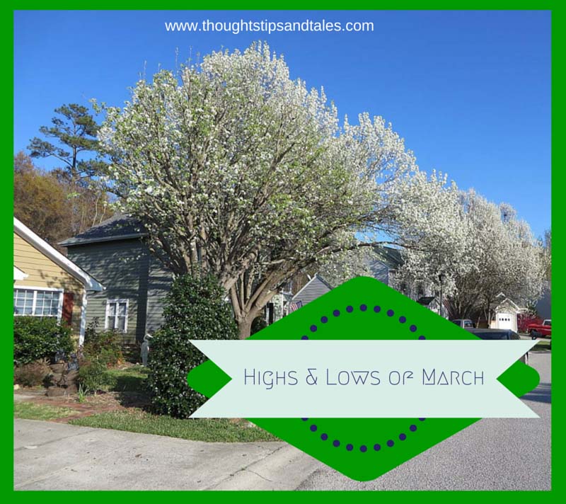 Highs and Lows of March 2015