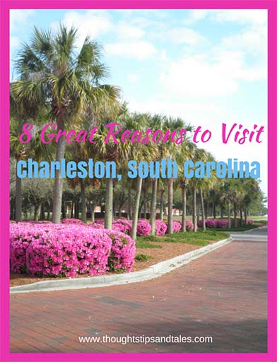 Eight Great Reasons to Visit Charleston South Carolina