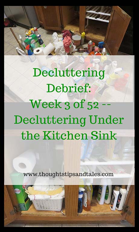 Decluttering Debrief: Week 3 of 52 -- -- Decluttering Under the Kitchen Sink
