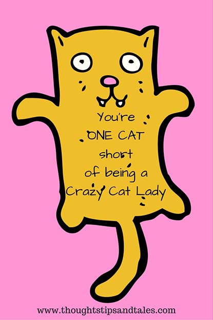 You're one cat short of being a crazy cat lady.