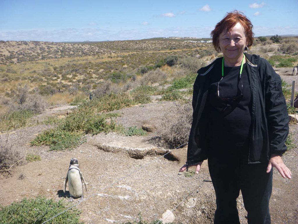 South American Cruise: Penguin Rookery at Punta Tombo