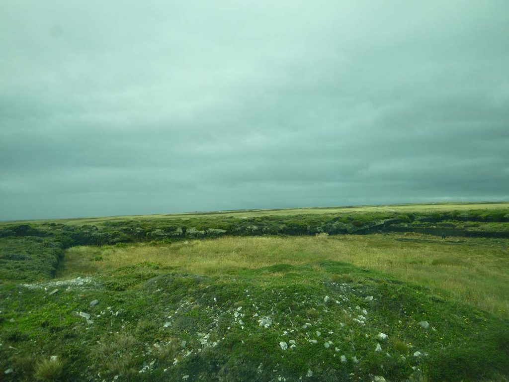landscape on Falkland Island
