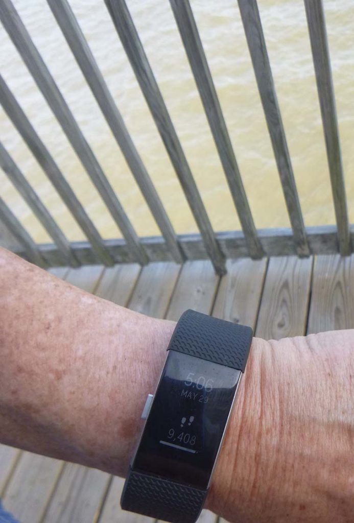 Fitbit Charge 2 Review